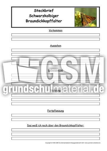 Braundickkopffalter-Steckbriefvorlage.pdf